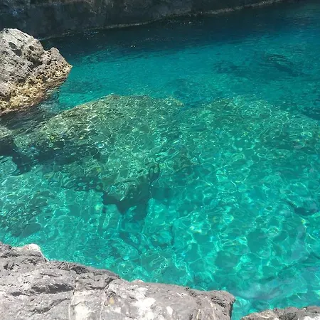 Apartamento Natural Damnoni