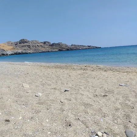 Natural * Damnoni