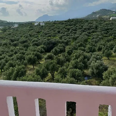 Natural * Damnoni